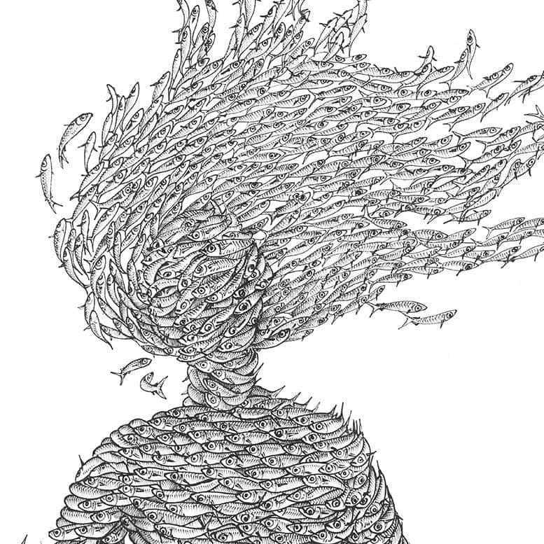 Bait Ball Series Shop by Design