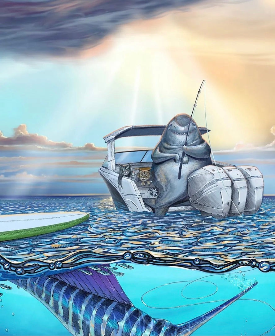 "Shark" Series Shop by Design