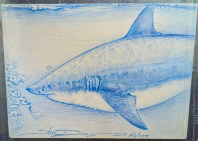 "Pizza Shark" Original Pencil by Steve Diossy