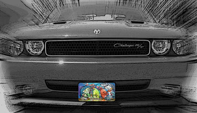 "Tito's Cheers" Front License Plate on car