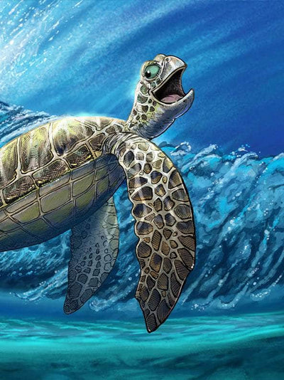 "Turtley Tubular" Limited Edition Canvas