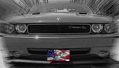 "Crab Tag USA" Front License Plate on car