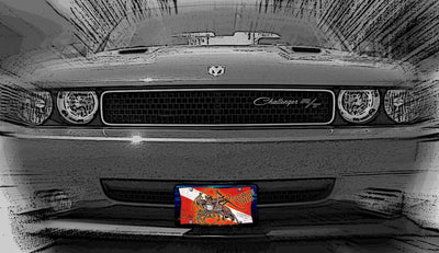 "Tickle This Lobster" Front License Plate on car