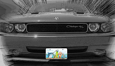 "Raw Bar" Front License Plate on car