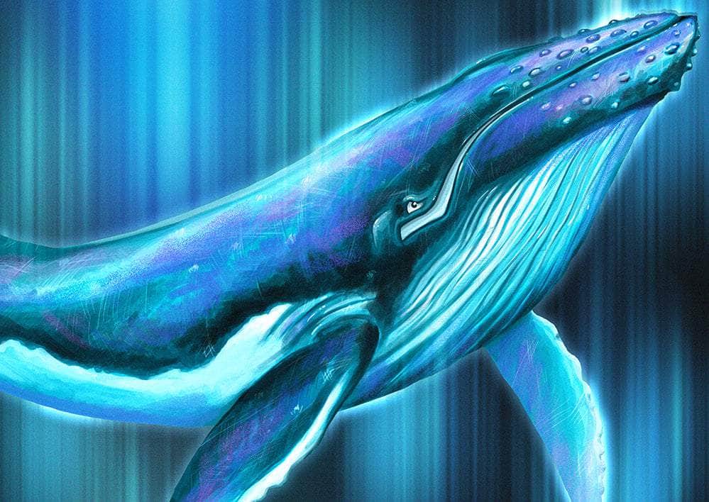 "Whale Song" Limited Edition Canvas