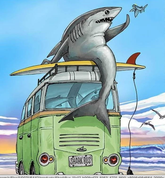 Bus Shark's February News