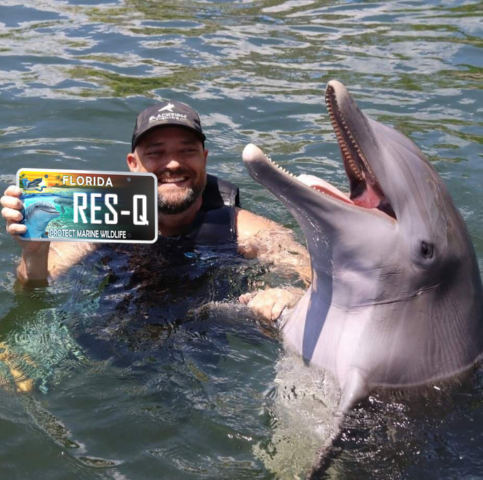 Products – Tagged dolphins– We Print Vinyl Wraps