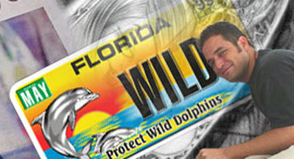 Finding a Porpoise in Life (Part 2)