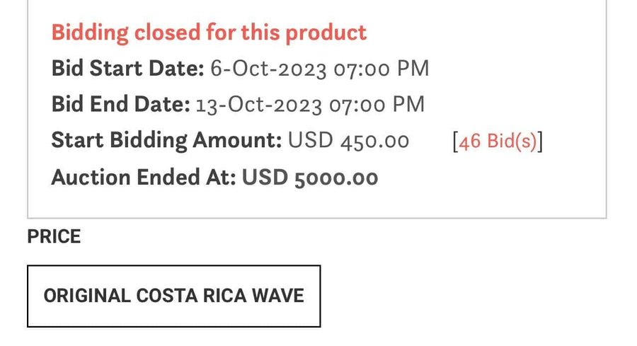 Auction Closed : "Costa Rica Wave" Original Pen/Ink by Steve Diossy