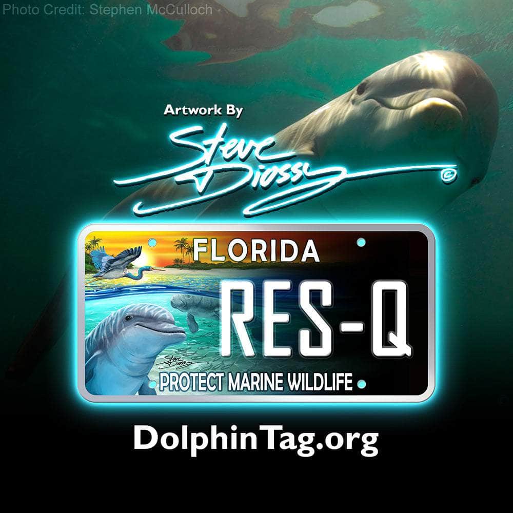 Protect Marine Wildlife