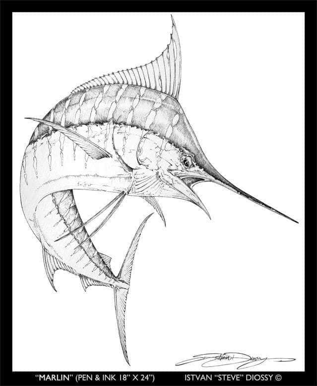 Original Pen/Ink "Marlin" by Steve Diossy