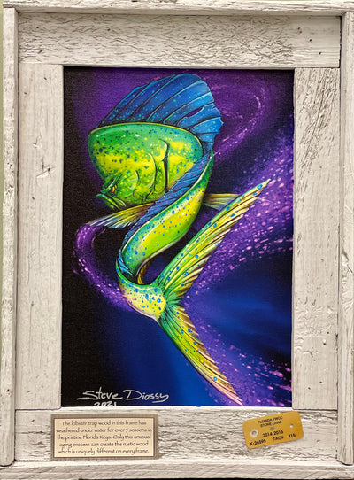 "Mahi Swim" Authentic Lobster Trap Frame with Mini-Canvas Giclee